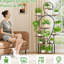 Support pour plante d'intérieur avec culture, structure en métal à 9 niveaux de 63 po de hauteur, design moderne chinois pour l'espace de vie, apparence de noyer brun, étagère à base horizontale, plusieurs plantes dans le balcon,
