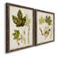 Feuilles antiques, toile encadrée de qualité supérieure, prête à être accrochée-560071809-560071813