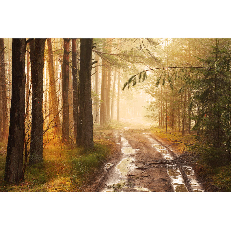 Foggy Forest Road After The Rain par Konradlew, H 24 po x l 36 po