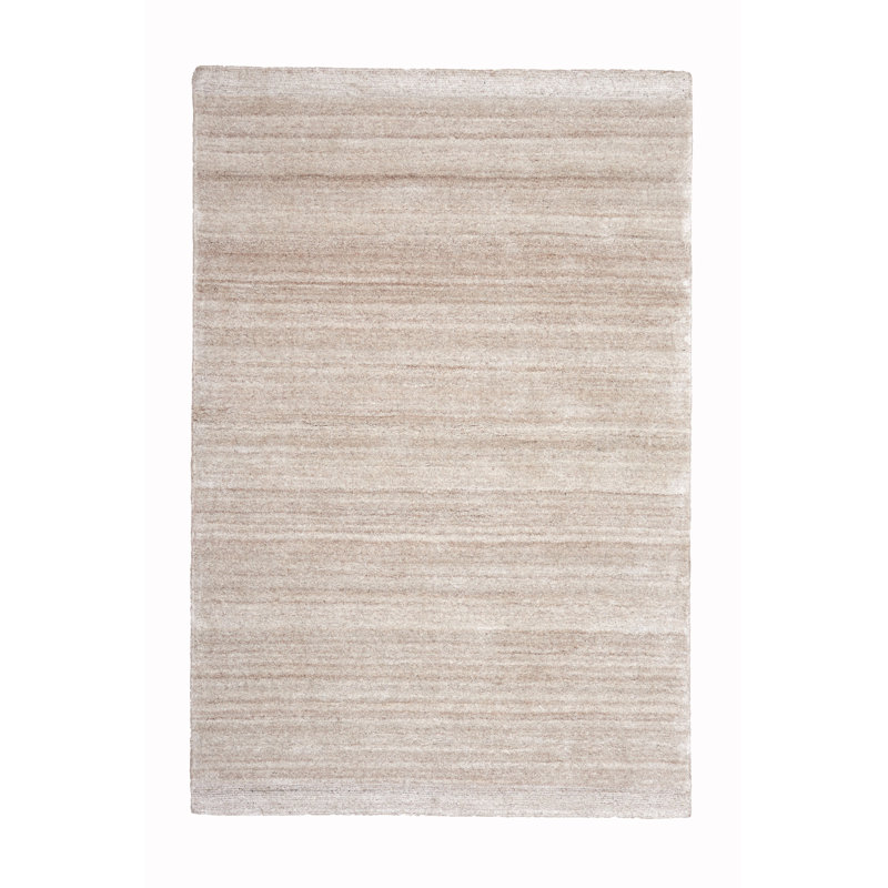 Bridyn Hand Woven Area Rug, Rectangle 200 x 300cm