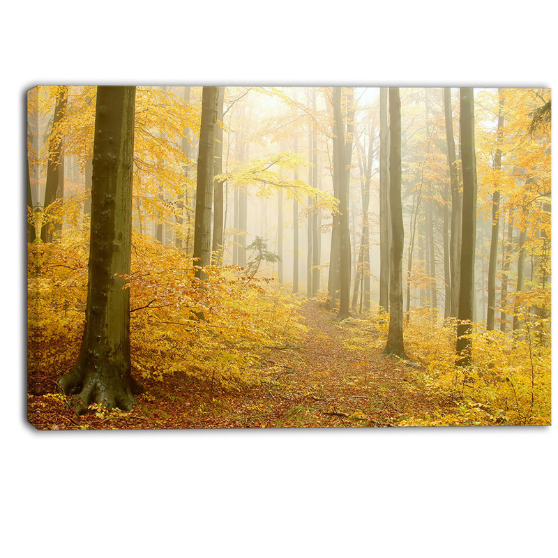«Autumn Beach Forest», reproduction d'impression sur toile, H 20 po x l 20 po x P 1 po
