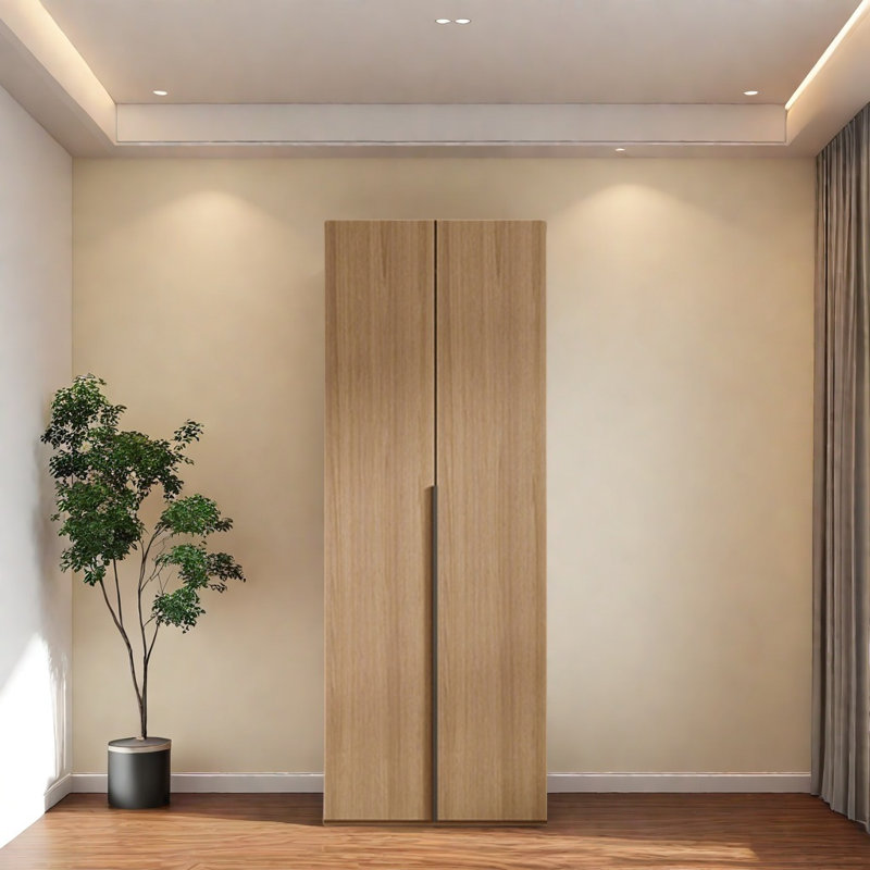 Garde-robe moderne, simple et pratique