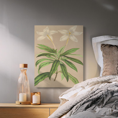 Herold Wrapped Canvas Print Set