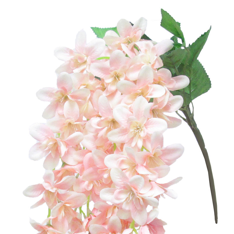 Plumeria, Rosé