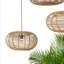 Kailani 1 - Light Pendant-1697439526