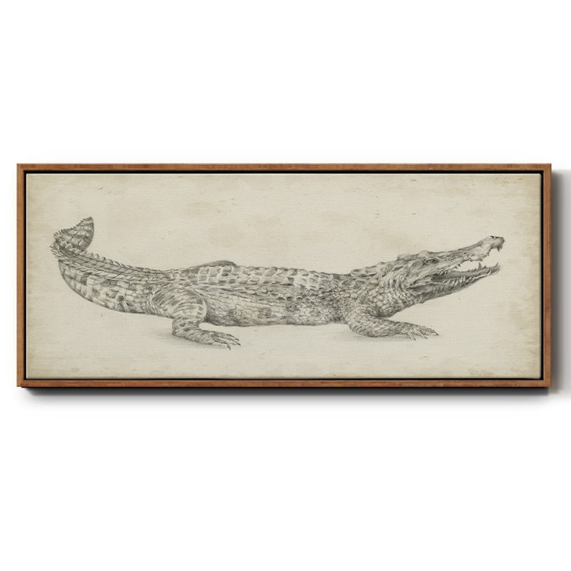Croquis de crocodile - toile encadrée, H 24 po x l 60 po
