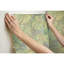Papiers peints et adhésifs Jungle Leaf-57406897