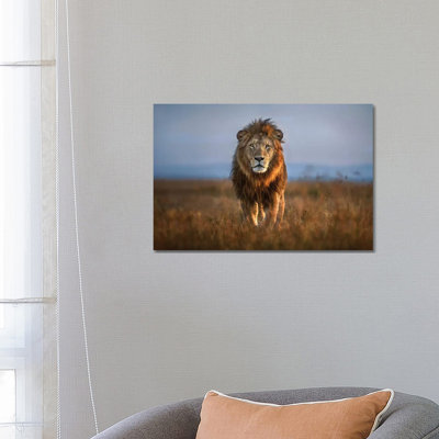 Lion Close Up 1 Piece Wall Art on Canvas