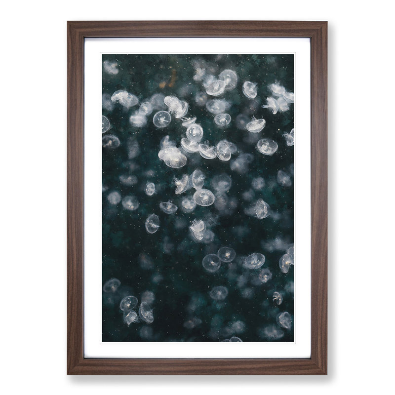 Jellyfish Vol.4 - Picture Frame Painting, Walnut, 65cm H x 48cm W x 2cm D