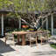 Bettina Teak Outdoor Dining Chair