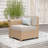 Outdoor Conversation Patio Sofa Chair With Rattan