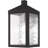 Lantern Head-1564762942