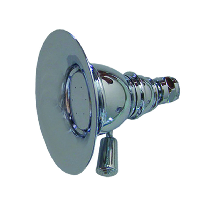 Showerhaus Rain Adjustable Shower Head 2.5 GPM GPM, Polished Chrome