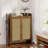 42.5" Tall Rattan Shoe Cabinet With Doors-847162536