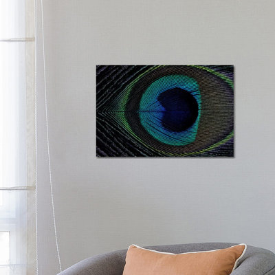 Peacock Feather I by Alyson Fennell - Wrapped Canvas Painting