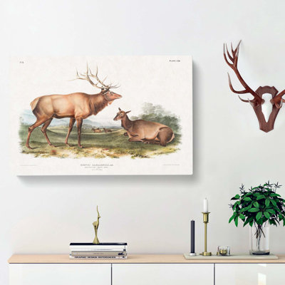American Elks - Wrapped Canvas
