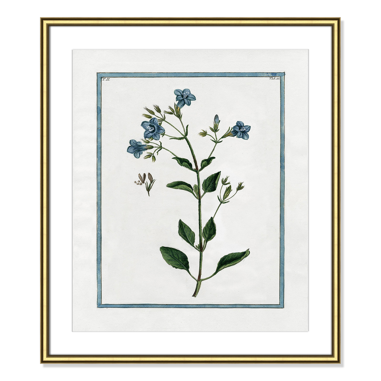 Colombe "Shabby Elegance Botanical II" Print, Gold Framed, 22.75" W x 26.75" H