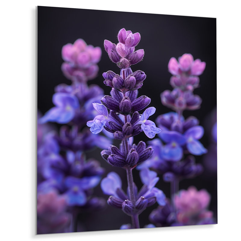 Art mural lilas mauve, lilas et jardin, Métal métal, H 44 po x l 34 po