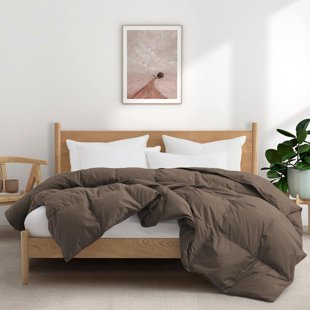 Édredon en duvet de coton toutes saisons / housse de couette en duvet