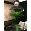 Impossible B 65 - Light Geometric Pendant-27276133