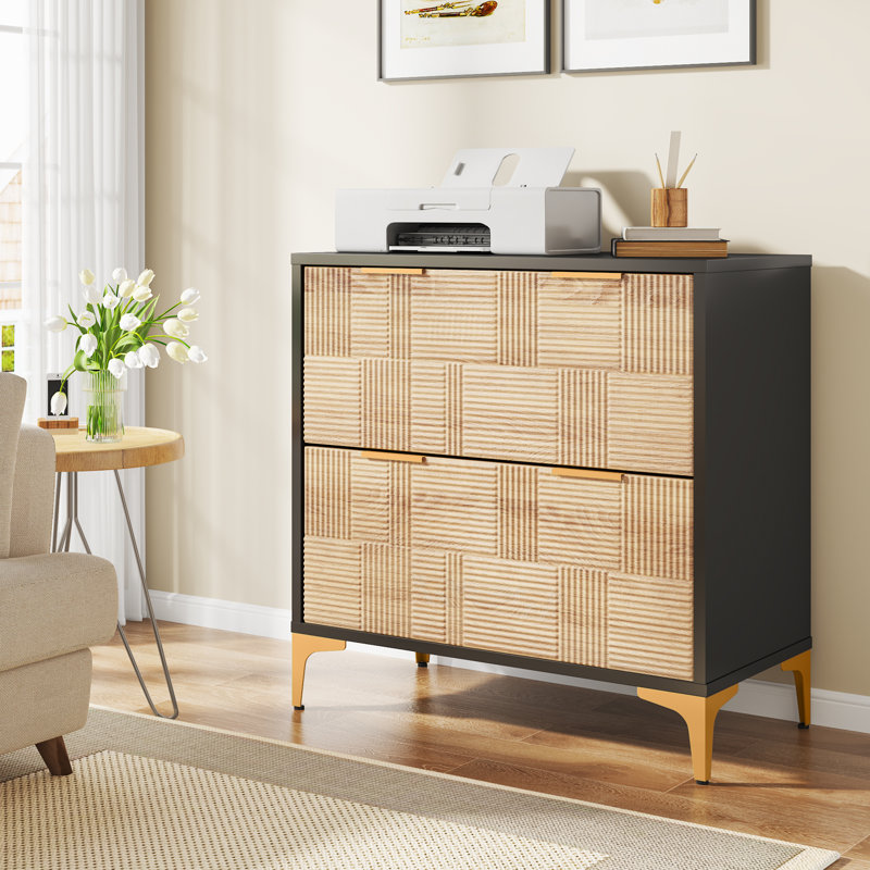 Tavain 31.5'' Wide 2 -Drawer File Cabinet, Natural/Black