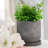 6" Line Pattern Planter W/ Saucer
