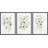 Minimal Botanical " IDEA4WALL Framed Wall Art Print Set Green Yellow Pastel Forest Plant Variety Nature Wilderness Illustrations Modern Decorative Relax/Calm Chic For Living Room, Bedroom, Office " 3 - Pieces-79731293-79731294