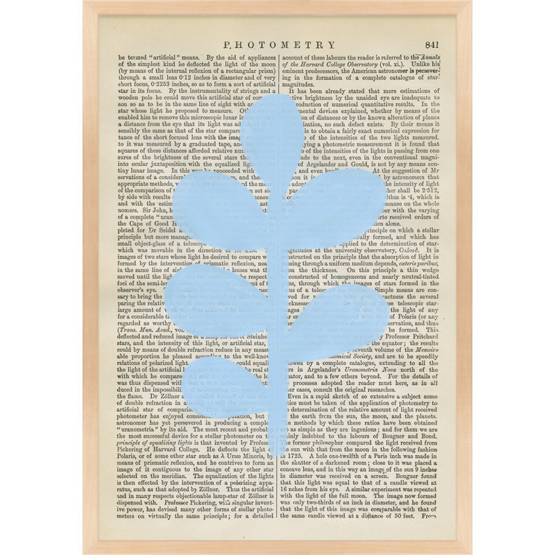 Photometry Print by Michela Sorrentino, 25" H x 18" W x 1.25" D, Maple Wood