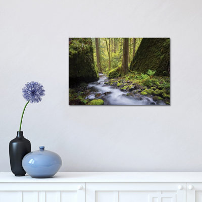 États-Unis, Oregon. Vue printanière du ruisseau Ruckle dans les gorges du Columbia. par Gary Luhm - Photographie sur toile tendue