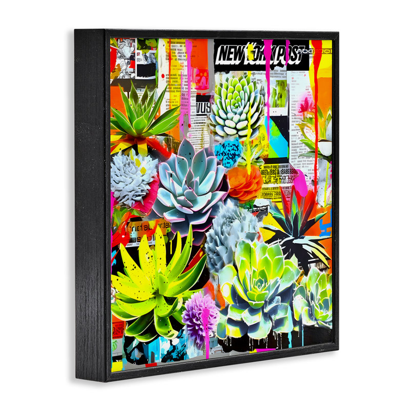 «Urban Graffiti Succulents», estampe numérique encadrée par Jess Stempel, H 12 po x l 12 po, Giclée encadrée noir minuit