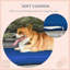 Niche pour chien Lininger en rotin avec auvent extérieur pour petits et moyens chiens, bleu foncé-1445992043-1348003575