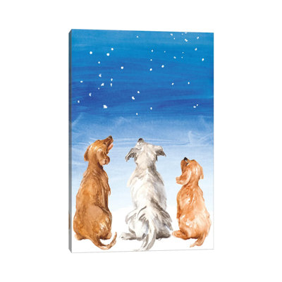 Three Dogs Star Gazing by Lanie Loreth - Wrapped Canvas Print