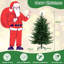 Lighted Artificial Pine Christmas Tree-366253112