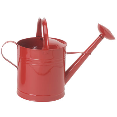 Arrosoir en acier galvanisé émaillé 2 gallons