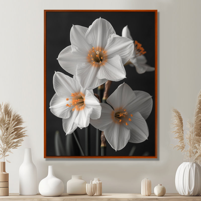 Monochromes blancs jaunes botaniques jonquilles I - jonquilles murales, Black Picture Framed, H 30 po x l 40 po