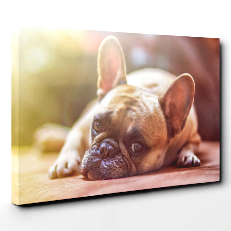 Wrapped Canvas Print, 50cm H x 76cm W