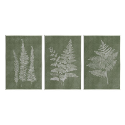 "Vintage Fern Silhouettes", ensemble de 3 plaques murales par Annie Lapoint
