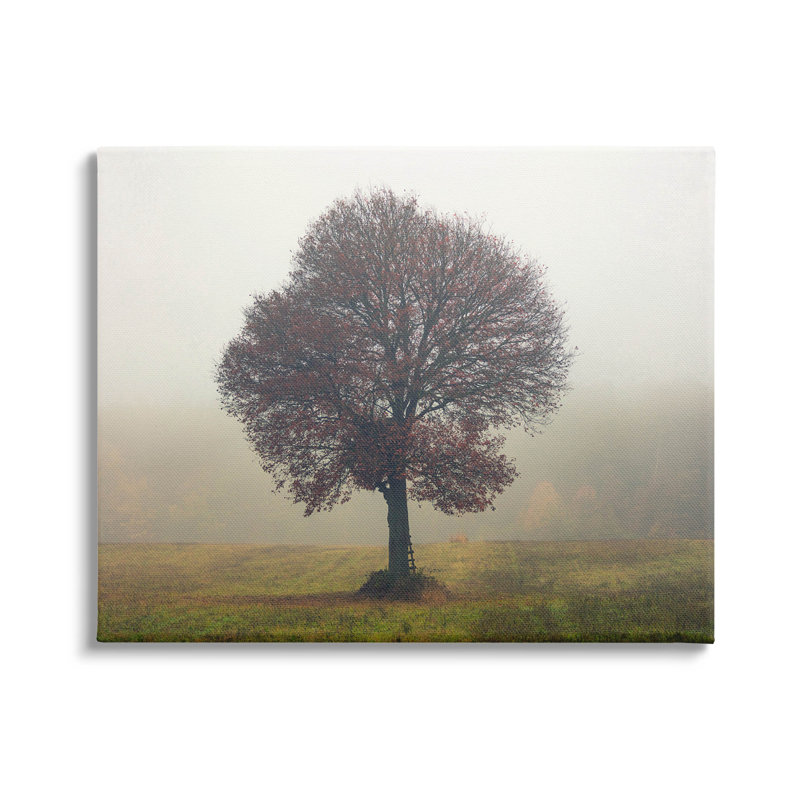 Art mural sur toile Lone Tree, H 16 po x l 20 po x P 1,5 po