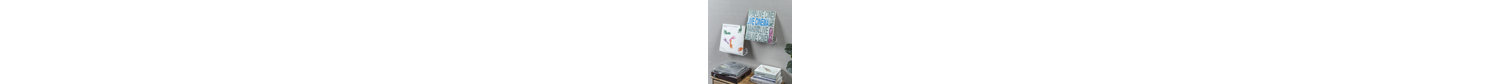 Wall 2 Piece Clear Vinyl Record Storage Rack