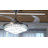 Enry 20'' Ceiling Fan with LED Lights