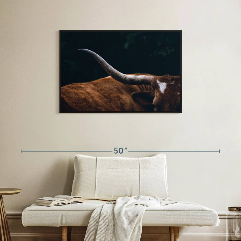 Vache Texas Longhorn, H 25 po x l 37 po
