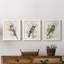«Tree Toppers I», ensemble de 3 reproductions d'art sur toile-161297909-161297910