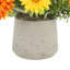 Arrangement de tournesol dans un pot en fibre de pierre-773778457