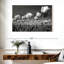Harnek Monochrome Tulip Field-107857056