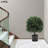 2 - Piece Artificial Evergreen Tree in Pot Set
