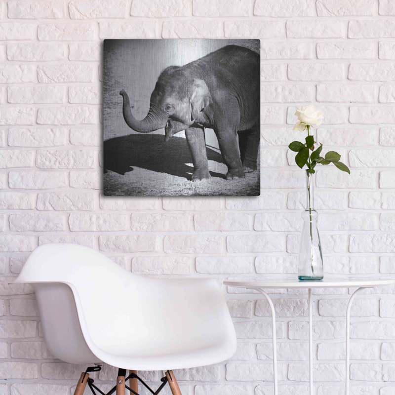 Latitude Run® «Elephant IV» par Debra Van Swearingen, art mural en métal, H 24 po x l 24 po