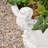 Elegant Style Planter-1701238159