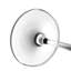 Lismore Essence 7.5floz Flute