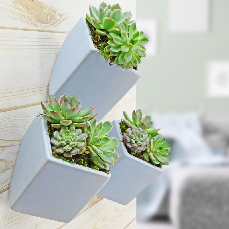 Earhart Ceramic Wall Planter, Sky