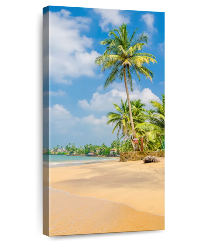 Exotic Summer Palm Trees